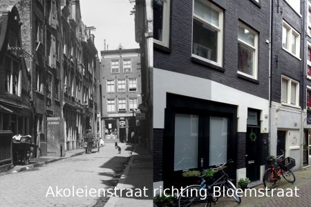 142_Akoleienstraat richting Bloemstraat.jpg