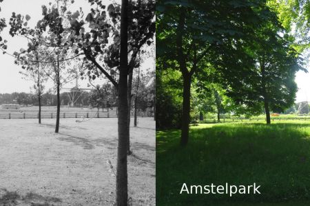 Amstelpark(1).jpg