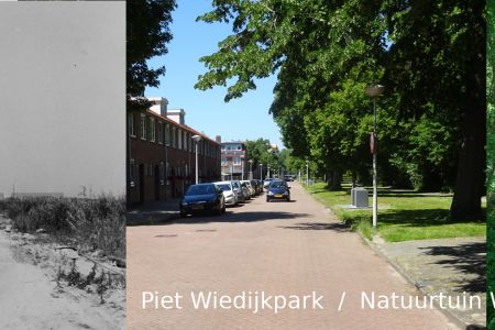 Piet Wiedijkpark.jpg