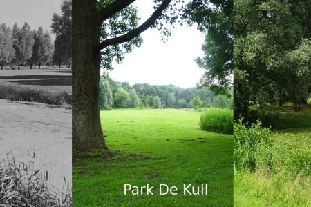 Park De Kuil.jpg