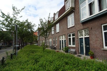 Van der Pekbuurt_01.JPG