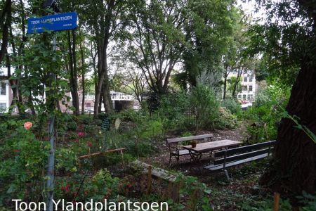 Toon Ylandplantsoen(k).jpg