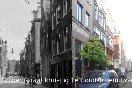 043 Goudsbloemstraat kruising 1e Goudsbloemdwarsstraat.jpg